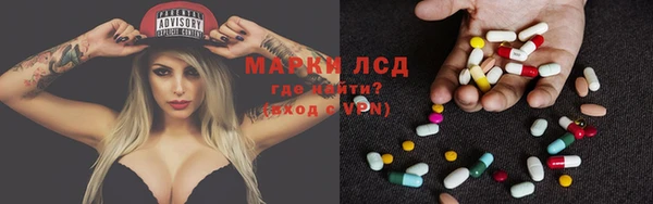 спайс Алзамай