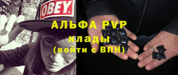 спайс Алзамай