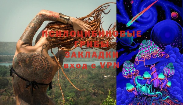 стафф Алексин