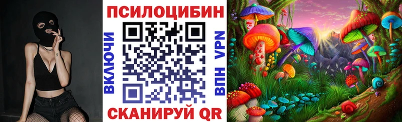 наркота  Одинцово  Псилоцибиновые грибы прущие грибы 